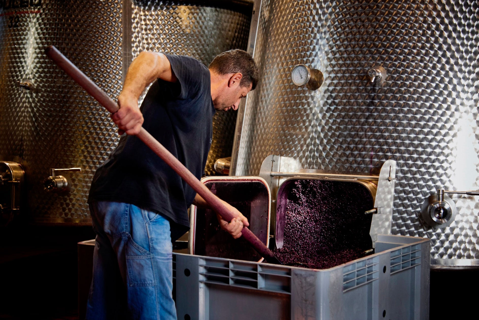 vigneti-e-cantina-03.jpg