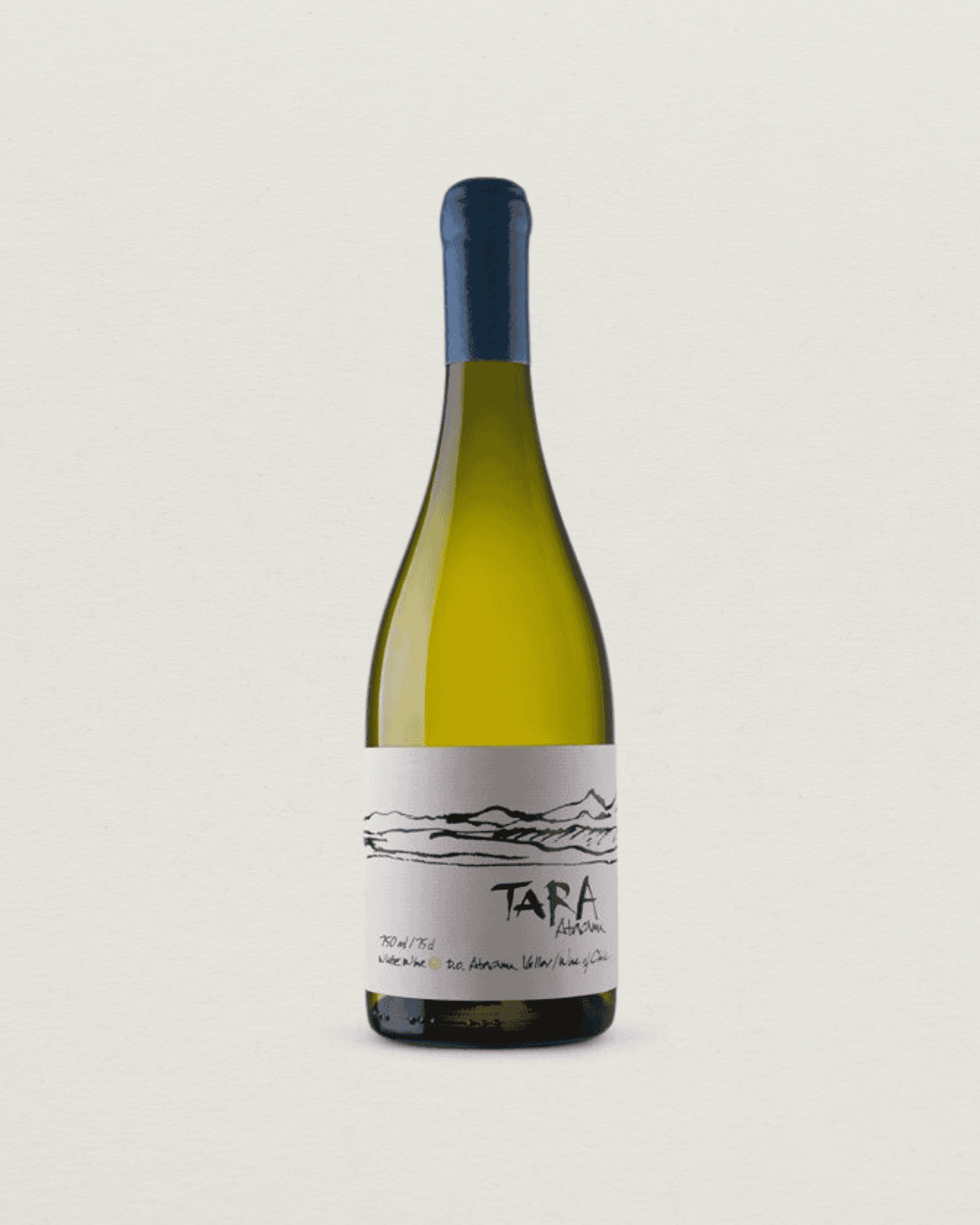 Sauvignon Blanc Atacama 2022