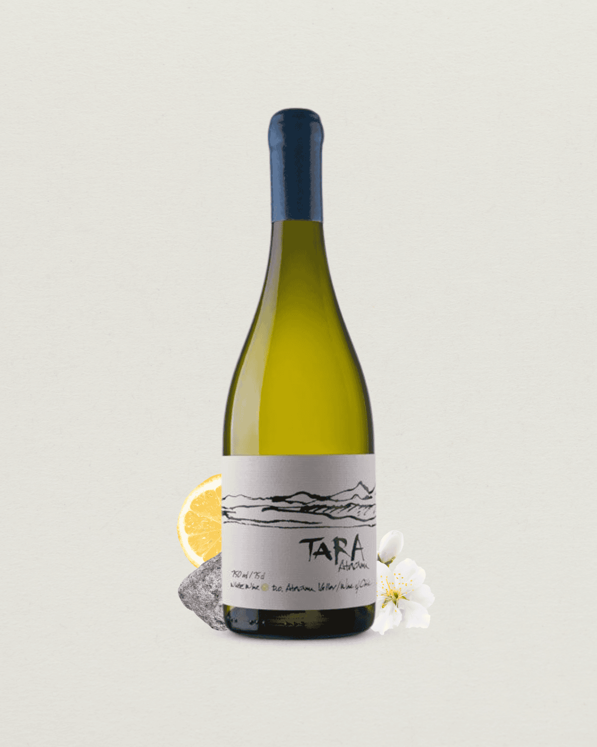 Sauvignon Blanc Atacama 2022