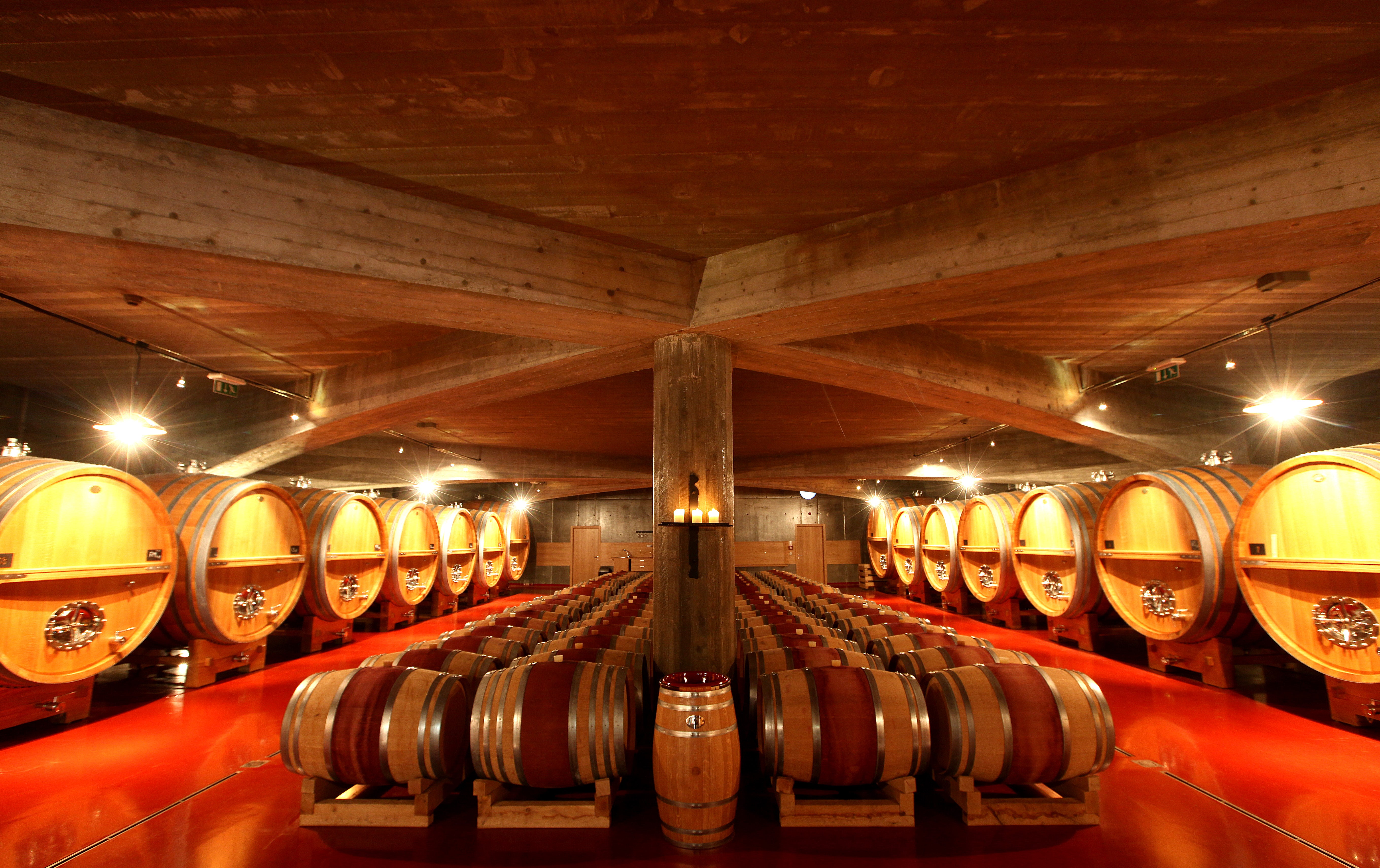 wine_cellar_mrvastanko_1.jpg